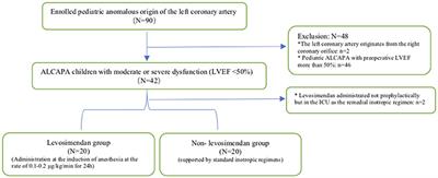 Levosimendan for Pediatric Anomalous Left Coronary Artery From the Pulmonary Artery Undergoing Repair: A Single-Center Experience